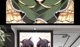 漫画双子性,揭秘双胞胎的性别之谜